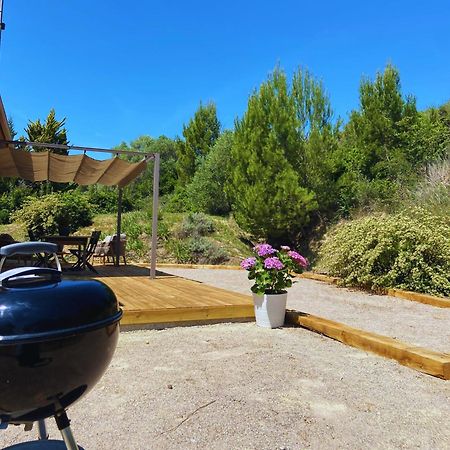 Les Hauts De La Pinede - Villa Avec Piscine, Jacuzzi Et Boulodrome Privatifs Thezan-les-Beziers Zewnętrze zdjęcie